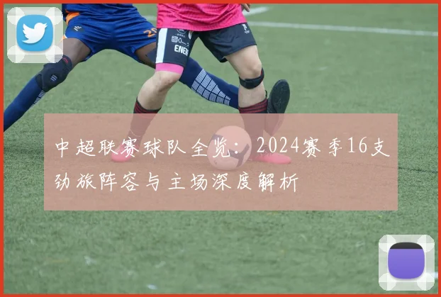 中超联赛球队全览：2024赛季16支劲旅阵容与主场深度解析