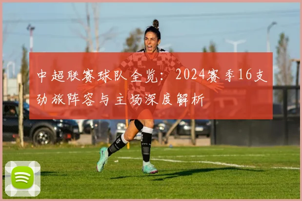 中超联赛球队全览：2024赛季16支劲旅阵容与主场深度解析